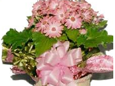 Φέρτε την άνοιξη στο σπίτι σας